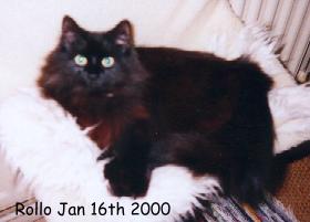 Rollo.jpg (9524 bytes)