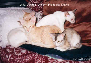 Sofagroup.jpg (33189 bytes)