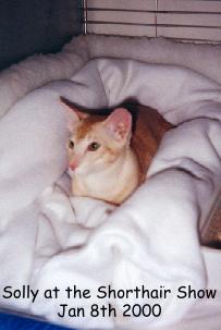 Sollyshow.jpg (11207 bytes)