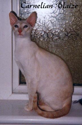 blaise.jpg (22678 bytes)