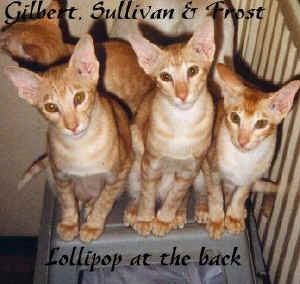 group.jpg (25838 bytes)