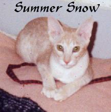 summer.jpg (9263 bytes)